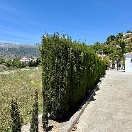 Bed & Breakfast Casa Del Palta Canillas de Albaida Exterior photo