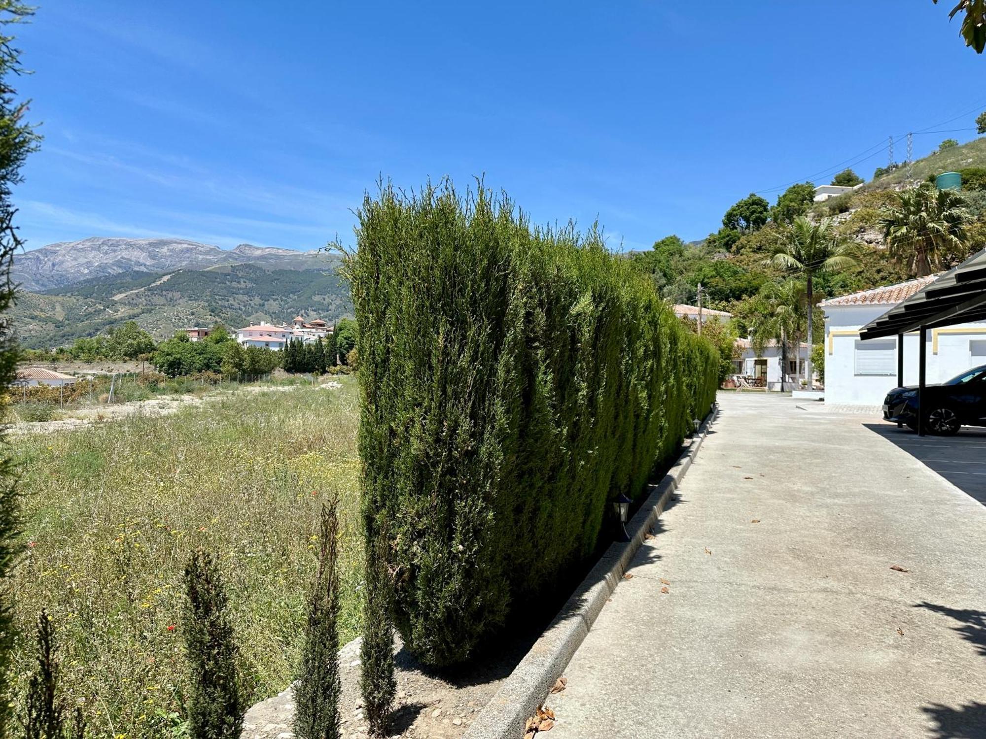Bed & Breakfast Casa Del Palta Canillas de Albaida Exterior photo